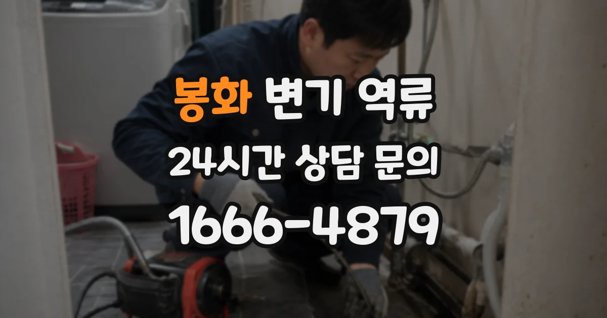 봉화 변기 역류