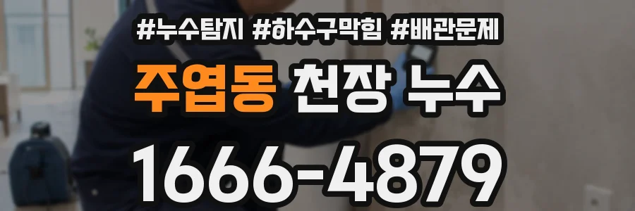 주엽동 천장 누수