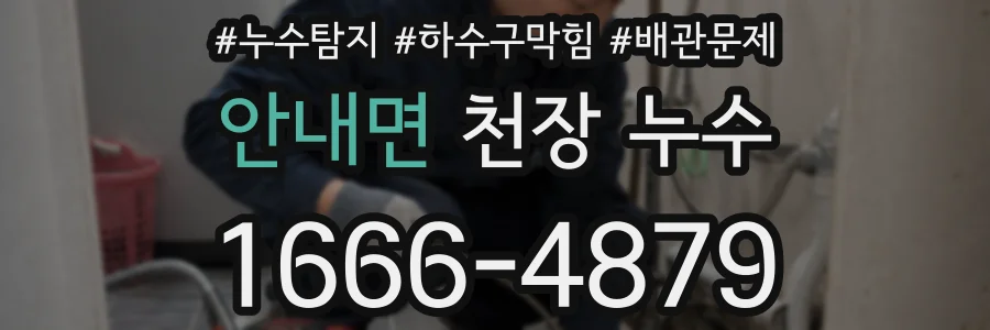 안내면 천장 누수