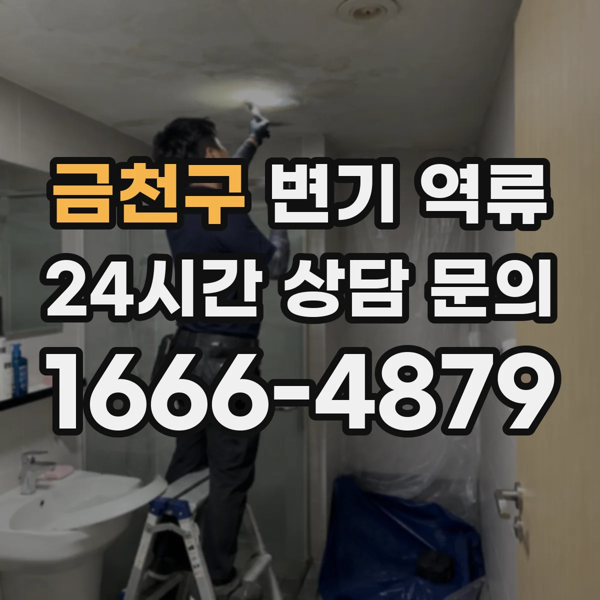 금천구 변기 역류