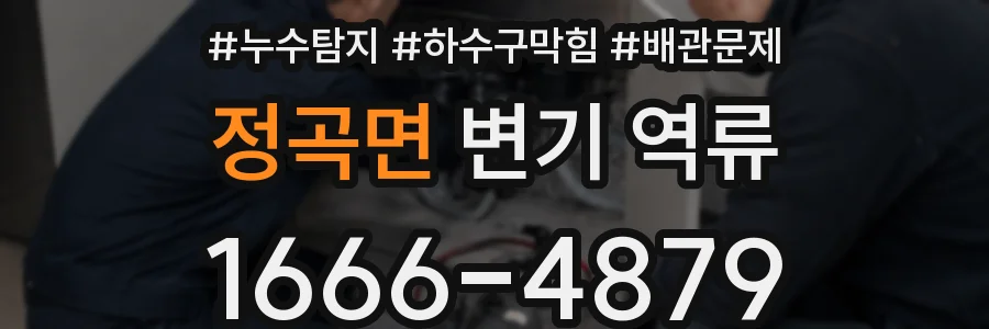정곡면 변기 역류
