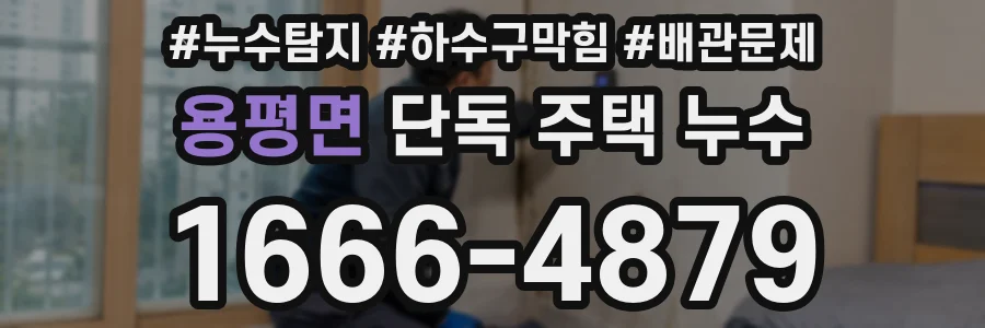 용평면 단독 주택 누수