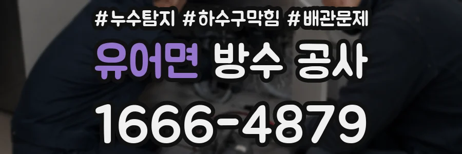 유어면 방수 공사