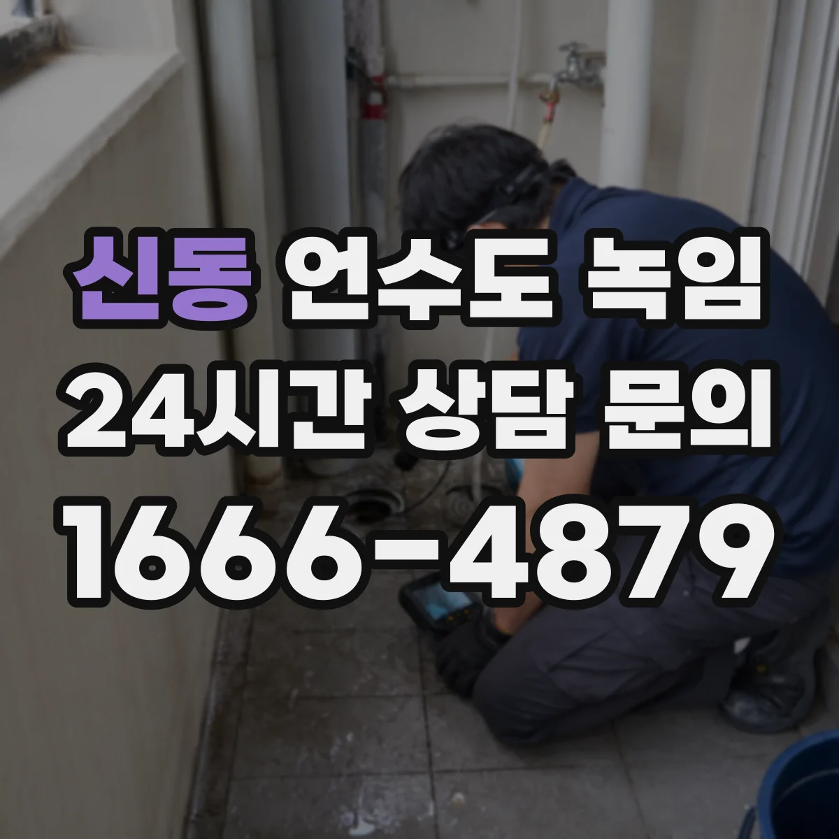 신동 언수도 녹임