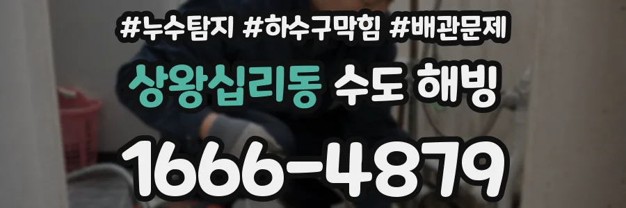 상왕십리동 수도 해빙