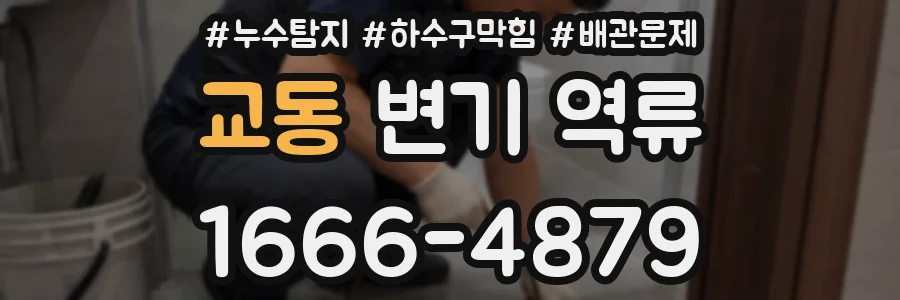 교동 변기 역류