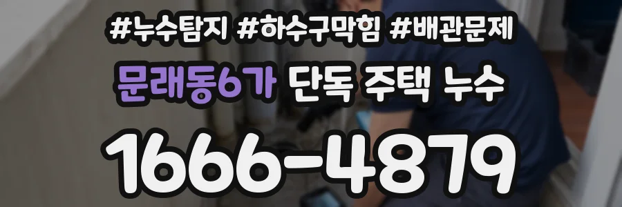 문래동6가 단독 주택 누수