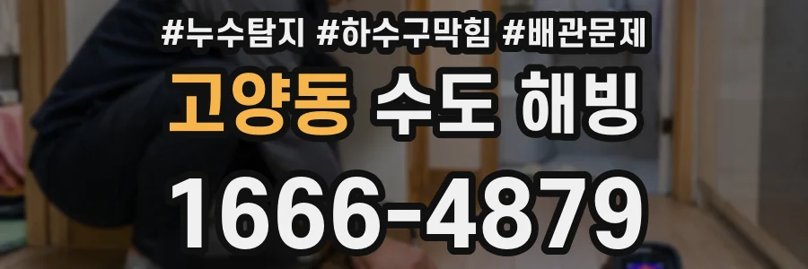 고양동 수도 해빙