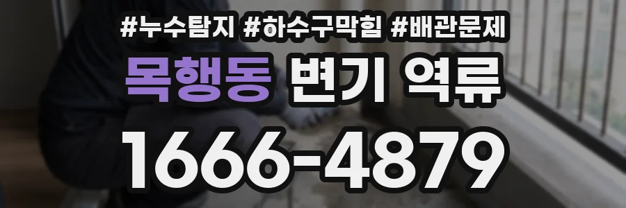 목행동 변기 역류