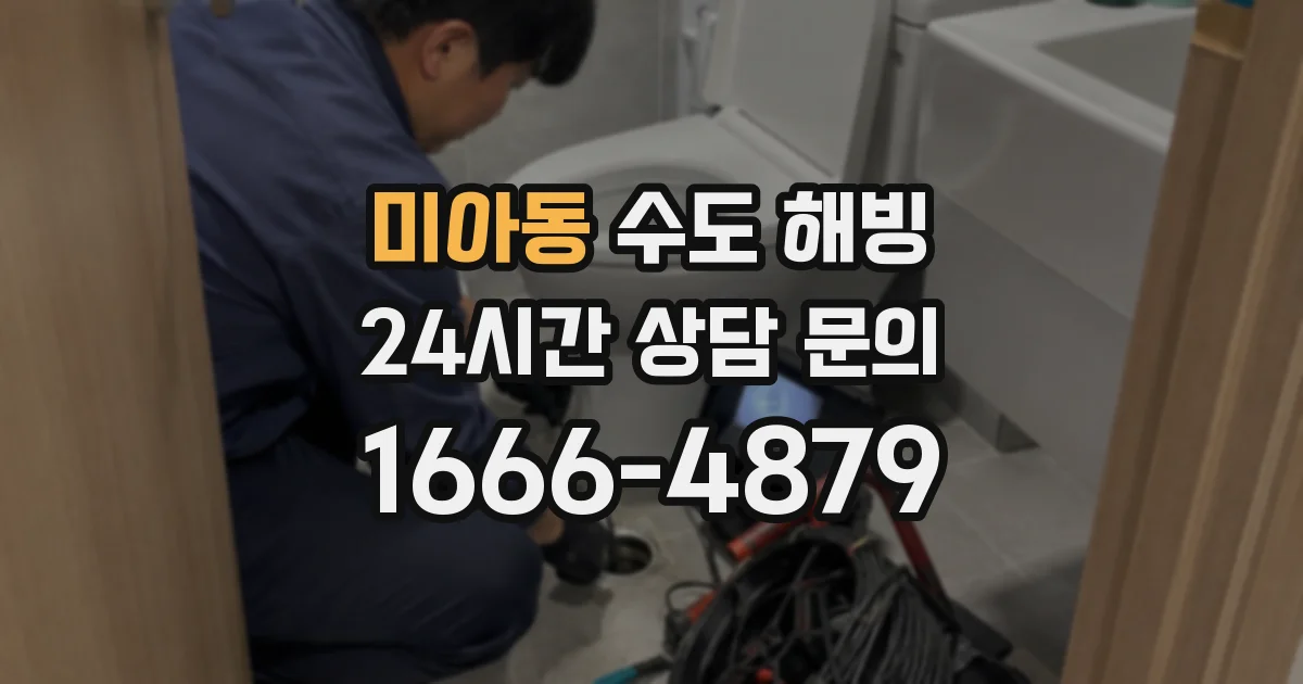 미아동 수도 해빙