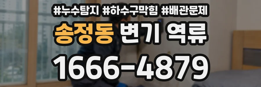 송정동 변기 역류
