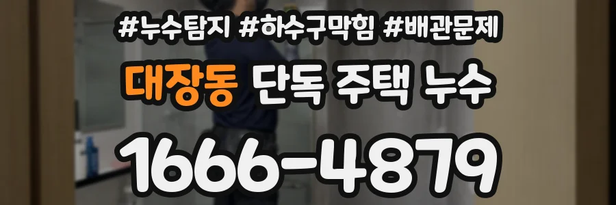 대장동 단독 주택 누수
