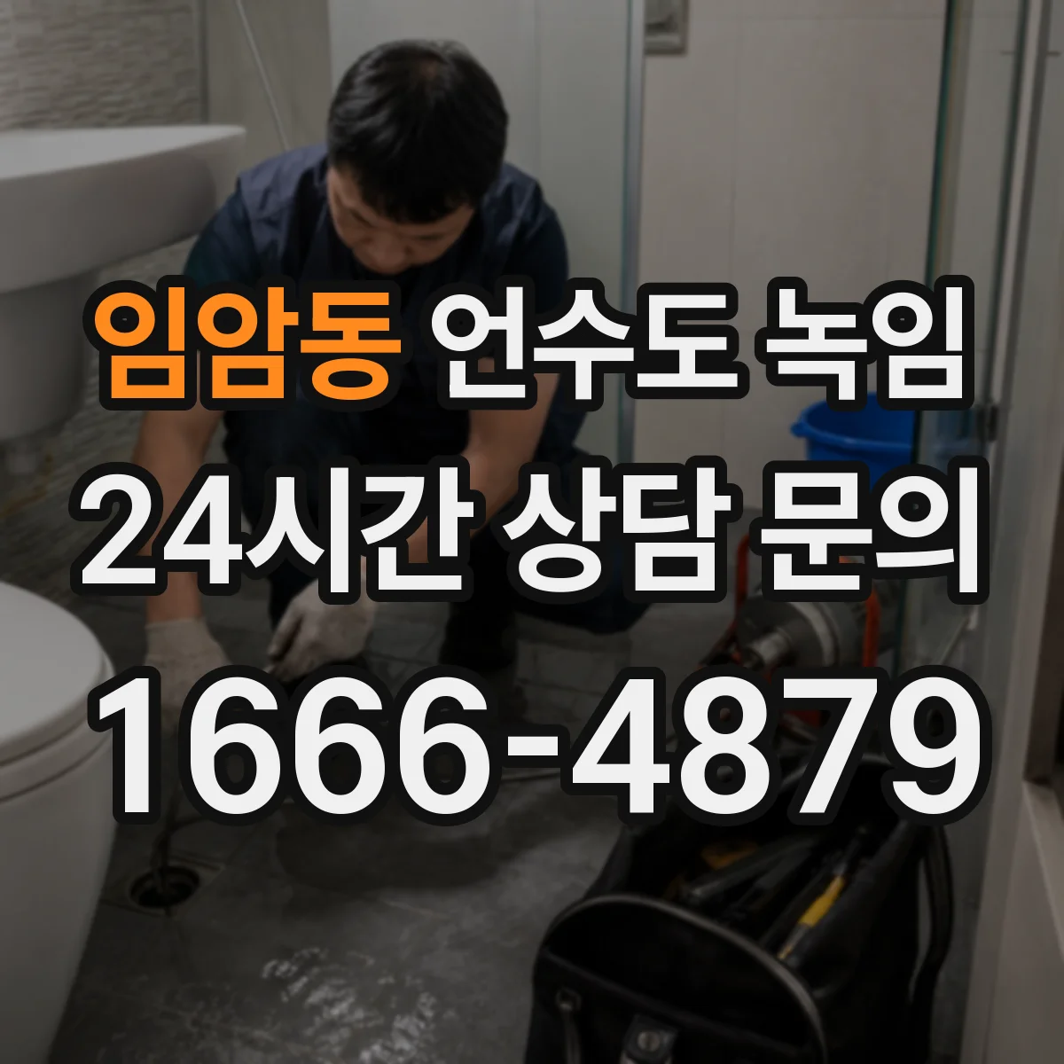 임암동 언수도 녹임