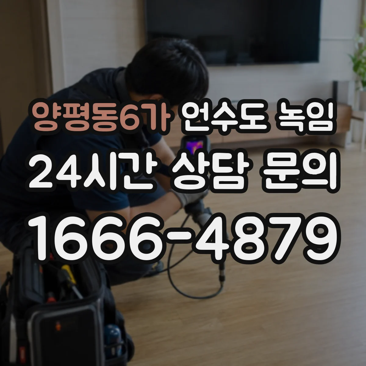 양평동6가 언수도 녹임
