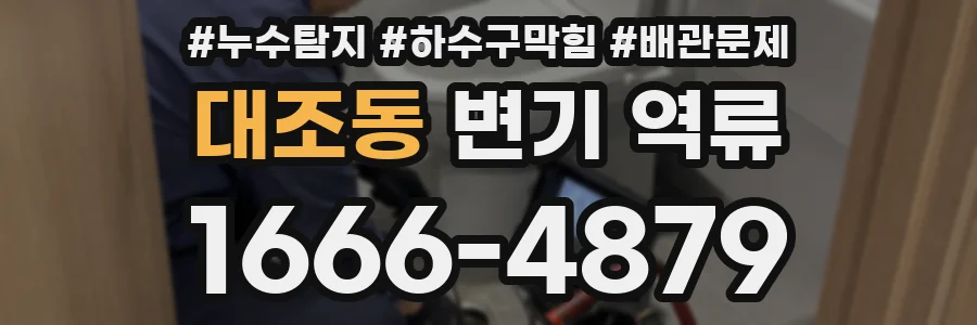 대조동 변기 역류