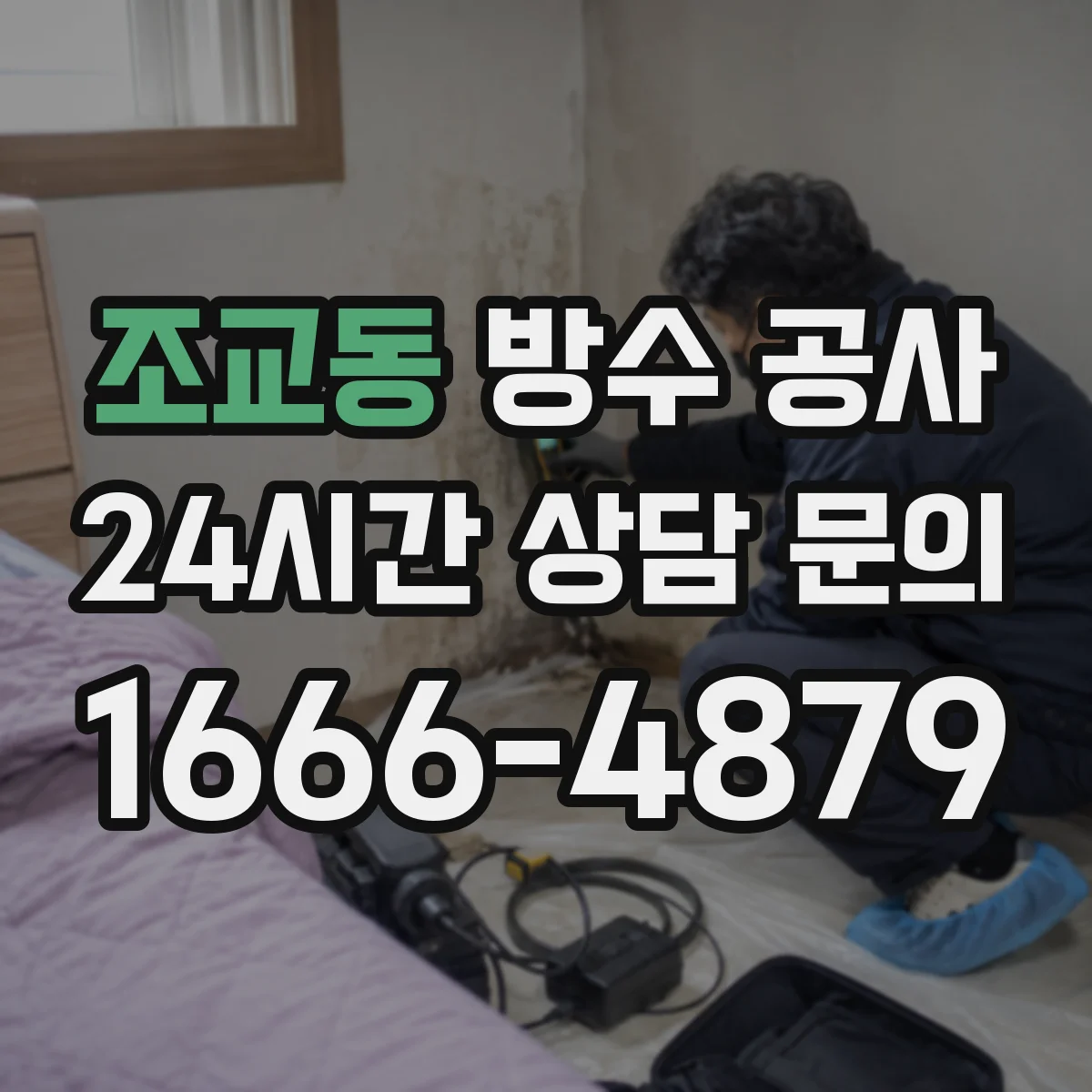 조교동 방수 공사