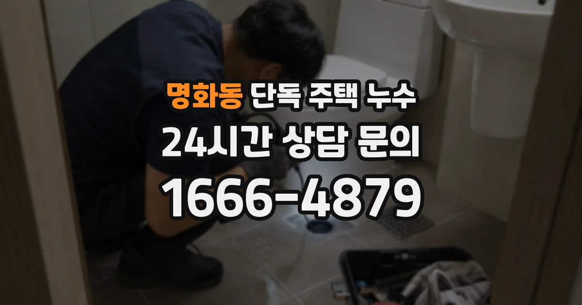 명화동 단독 주택 누수