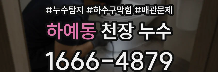 하예동 천장 누수