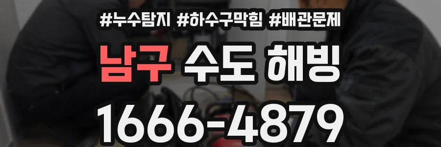남구 수도 해빙