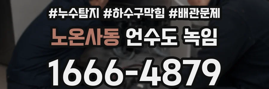 노온사동 언수도 녹임