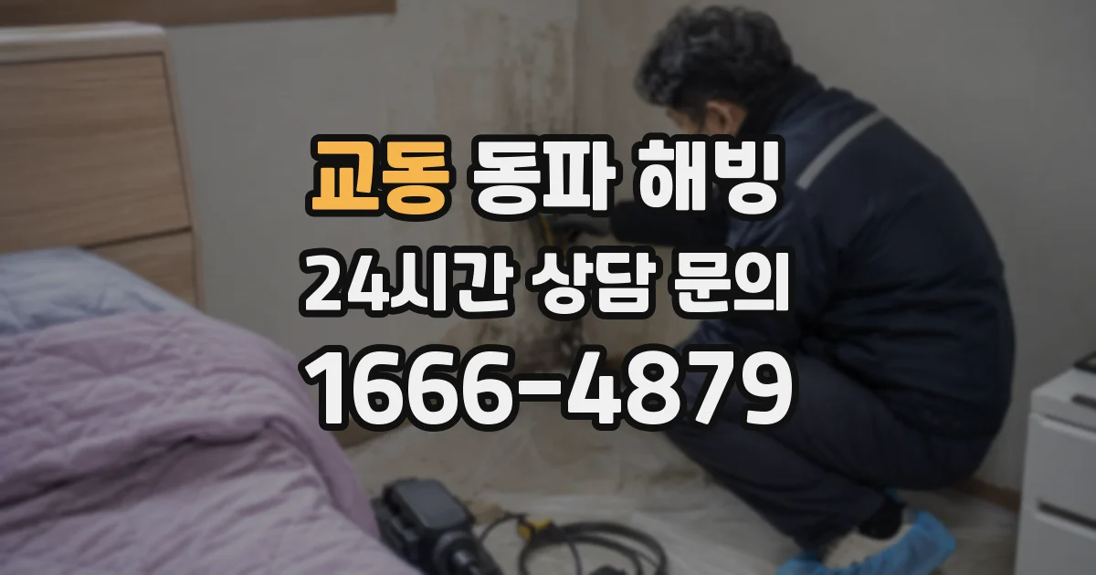 교동 동파 해빙