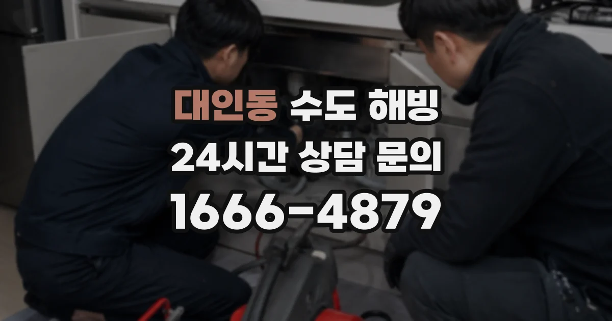대인동 수도 해빙