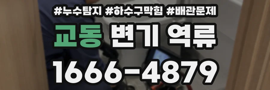 교동 변기 역류