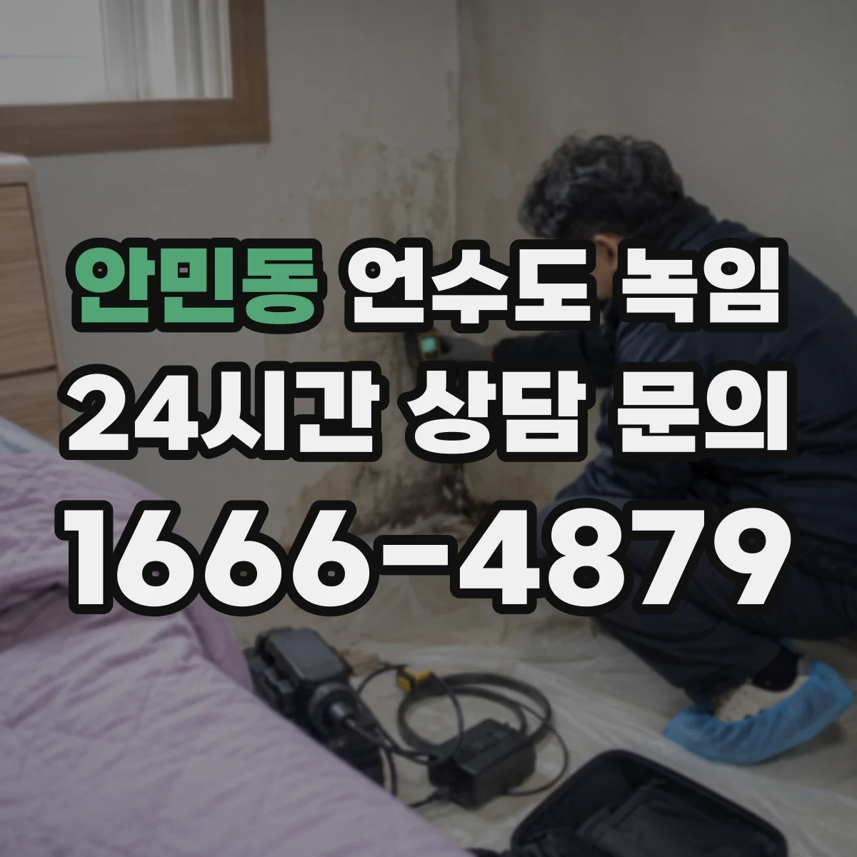 안민동 언수도 녹임