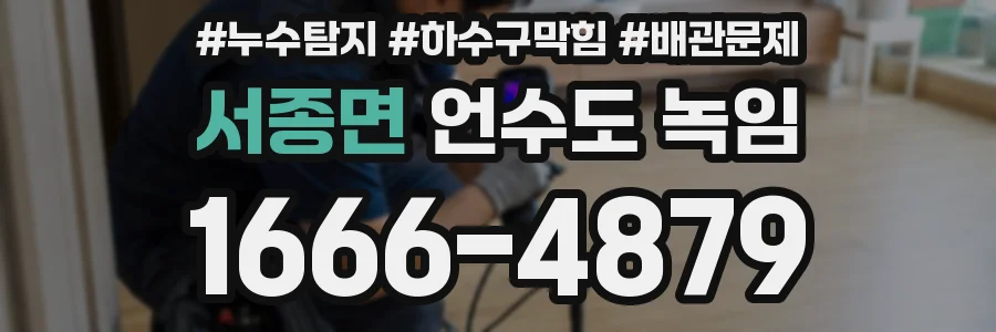 서종면 언수도 녹임