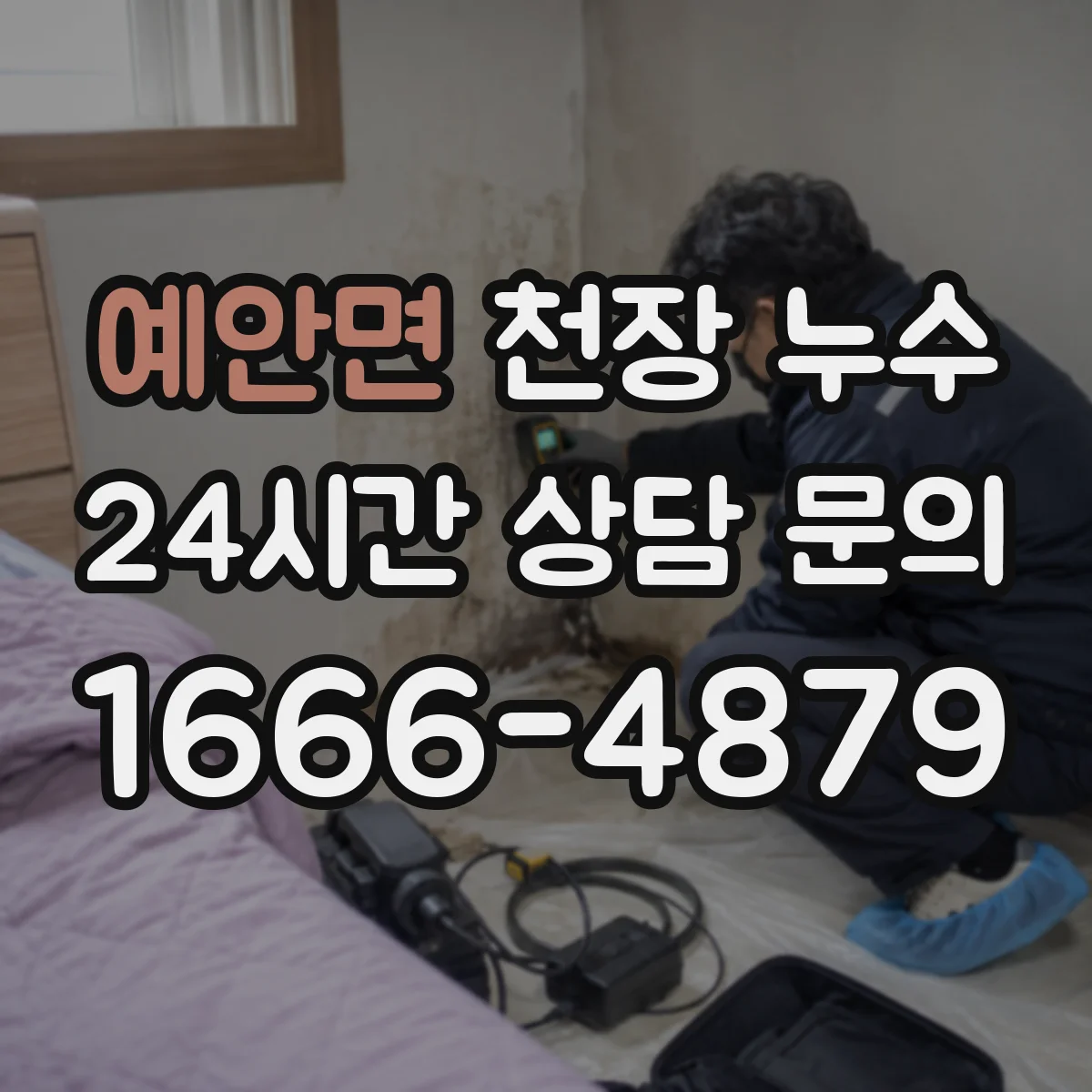 예안면 천장 누수