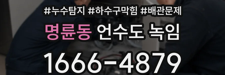 명륜동 언수도 녹임