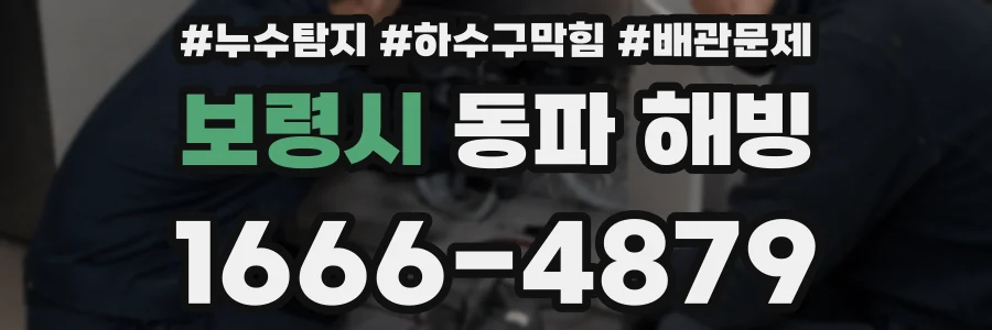 보령시 동파 해빙