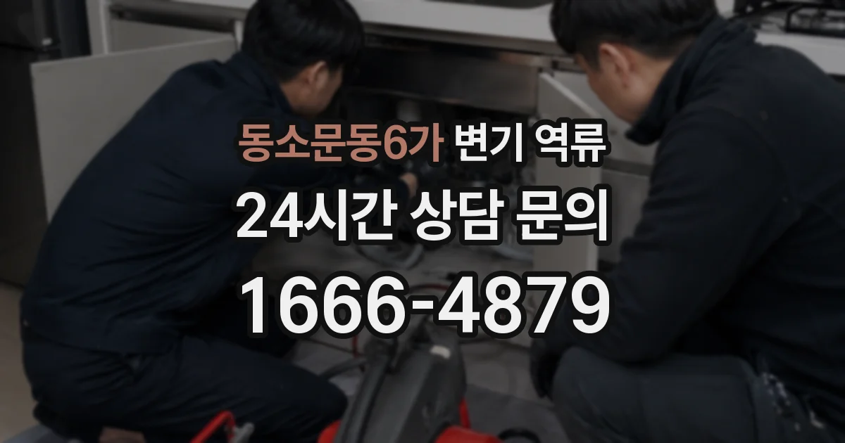 동소문동6가 변기 역류