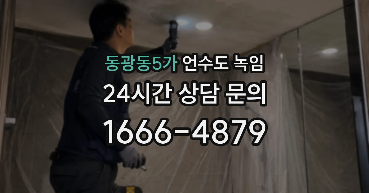 동광동5가 언수도 녹임
