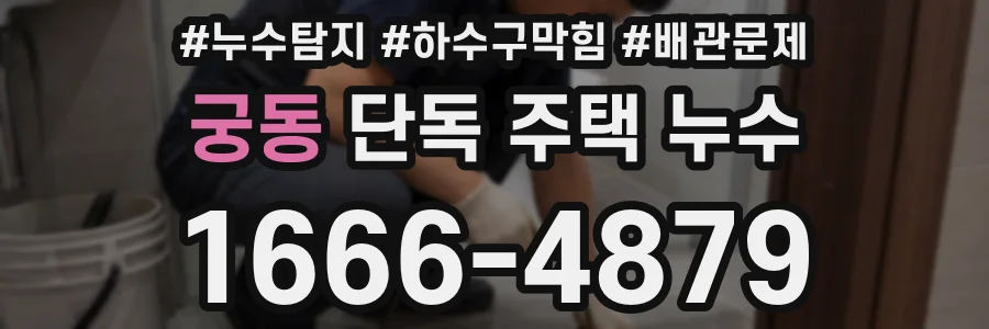 궁동 단독 주택 누수