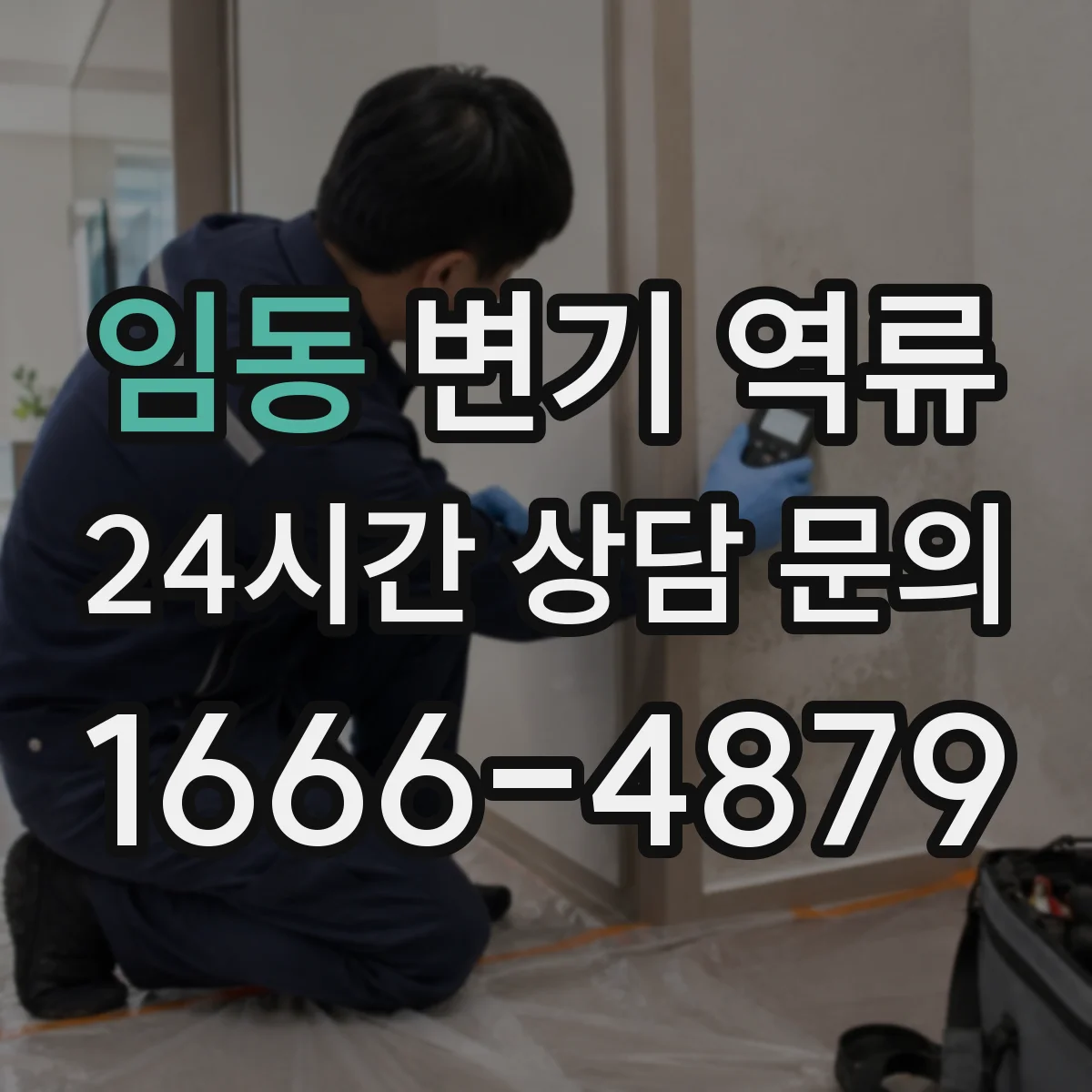 임동 변기 역류