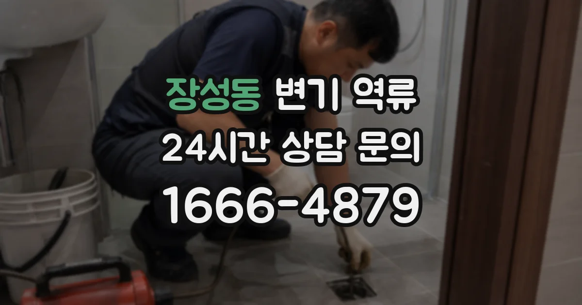 장성동 변기 역류