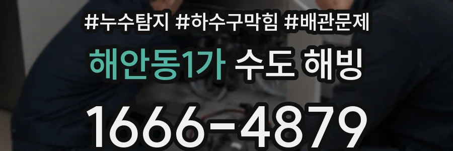 해안동1가 수도 해빙