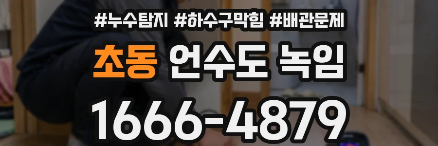 초동 언수도 녹임