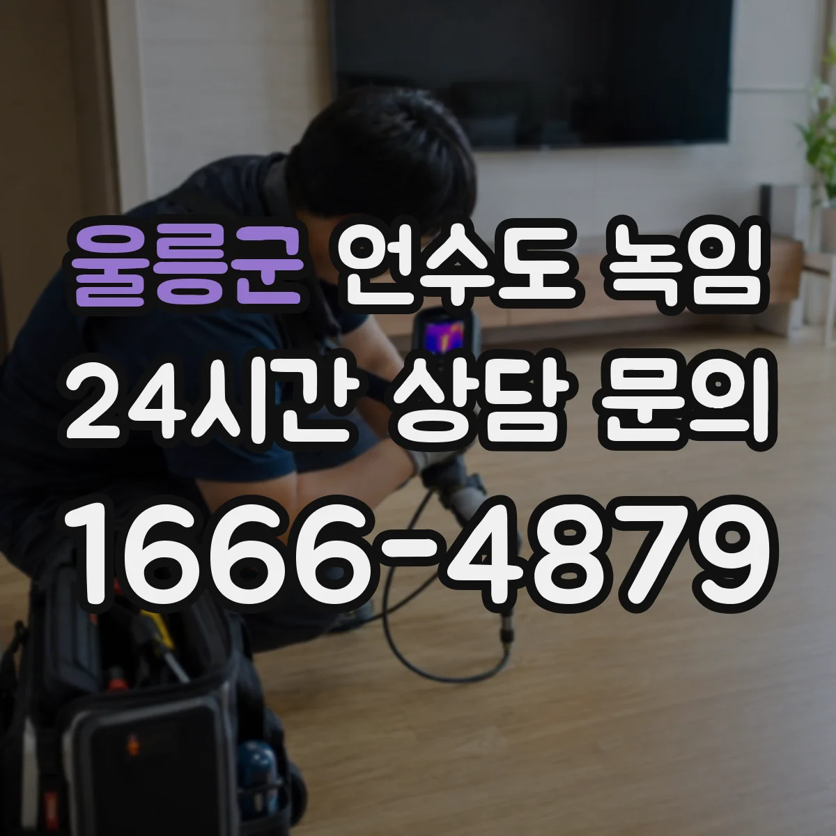 울릉군 언수도 녹임