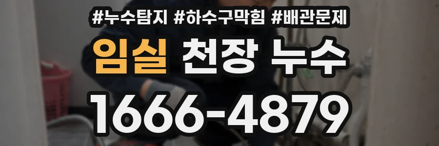 임실 천장 누수