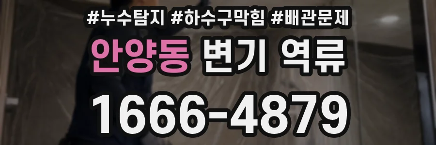 안양동 변기 역류