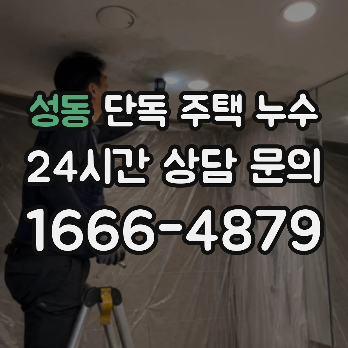 성동 단독 주택 누수