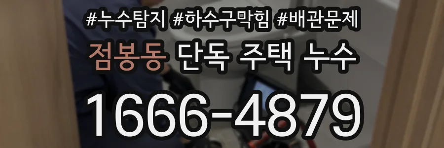 점봉동 단독 주택 누수