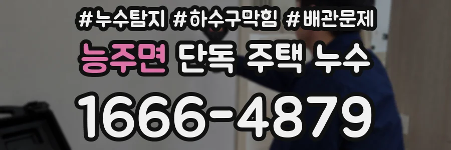 능주면 단독 주택 누수