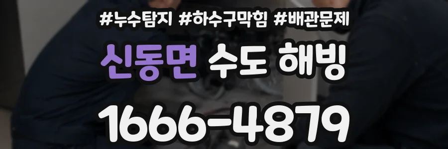 신동면 수도 해빙