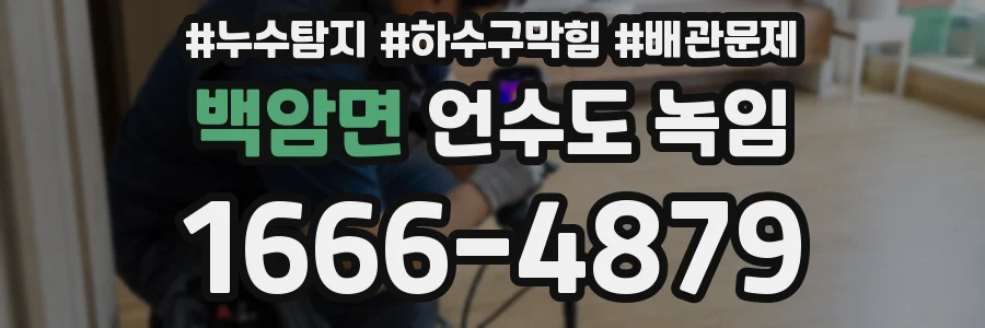 백암면 언수도 녹임