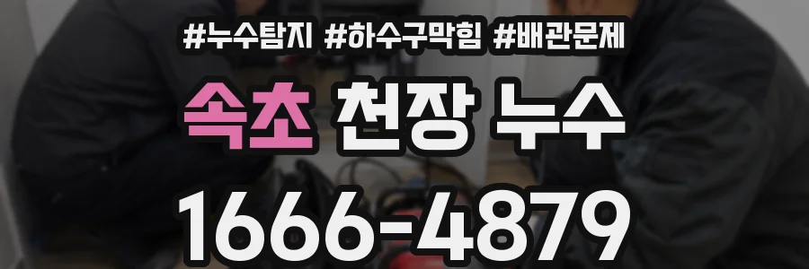 속초 천장 누수