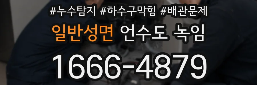 일반성면 언수도 녹임