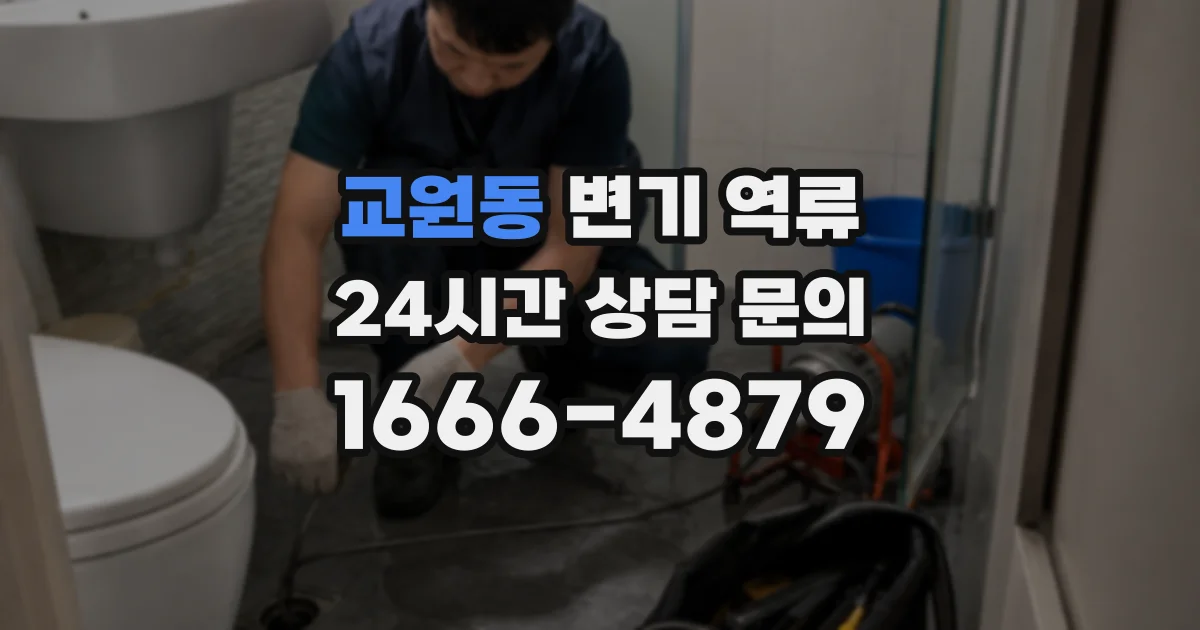교원동 변기 역류